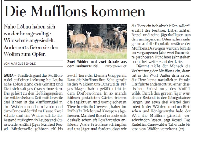 Freie Presse , 01.10.2014