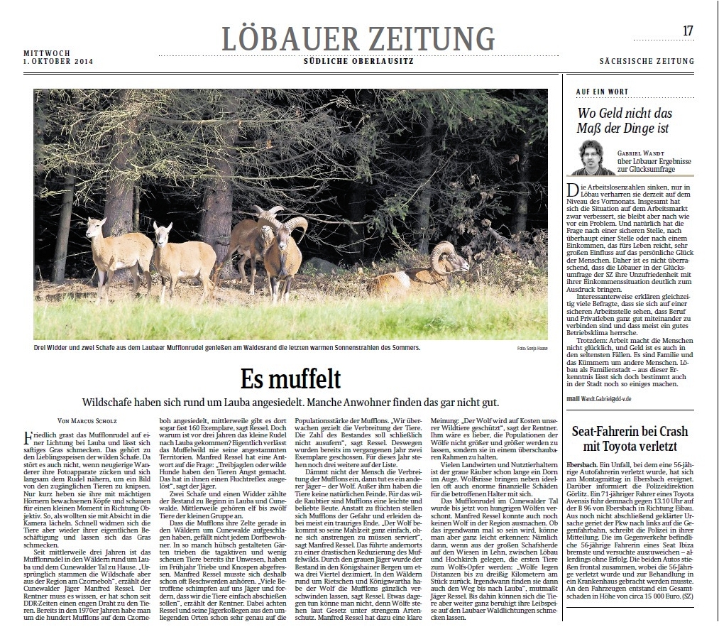 Zeitungsartikel Sächsische Zeitung vom 01.10.2014