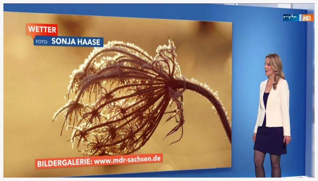 Wetterbild , Bildschirmprint, vom 04.12.2016, MDR Sachsenspiegel