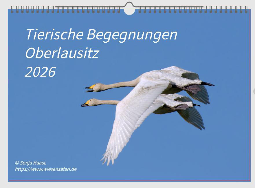 Naturkalender 2026 DIN A4 - quer -
